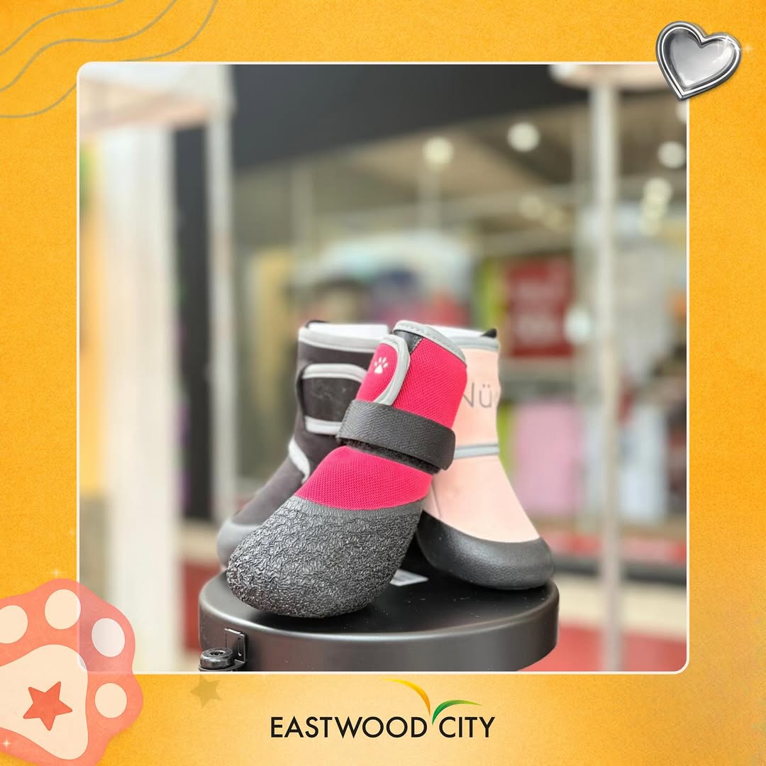 Pet shoes at Eastwood City pet fair
